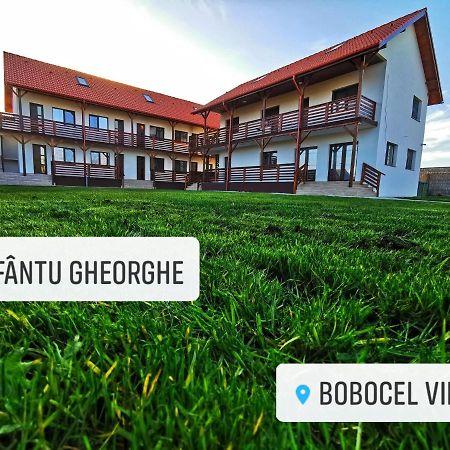 Bobocel Villa Sfântu Gheorghe Dış mekan fotoğraf